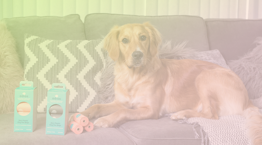 How Adios Plastic Escaped WooCommerce Subscription Problems with a Shopify + Loop Migration