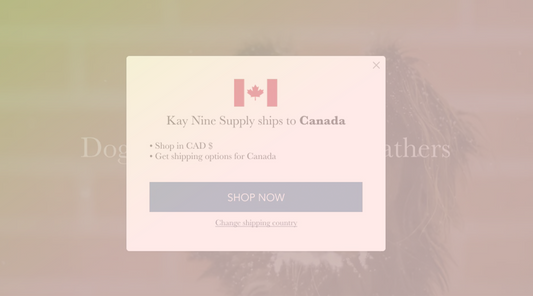Going Global: Tips for Internationalising and Scaling Your Shopify Store